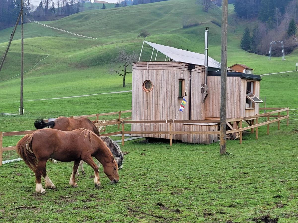 Beaver Creek Ranch Rothenthurm Ngoại thất bức ảnh